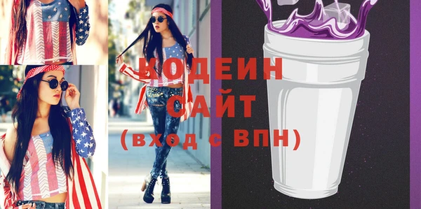 прущий лед Алзамай