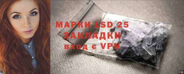 прущий лед Алзамай